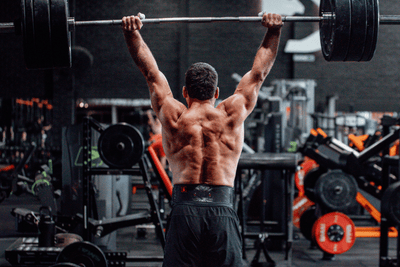 Primal By Ricky Garard 4" Weightlifting Belt - 2POOD